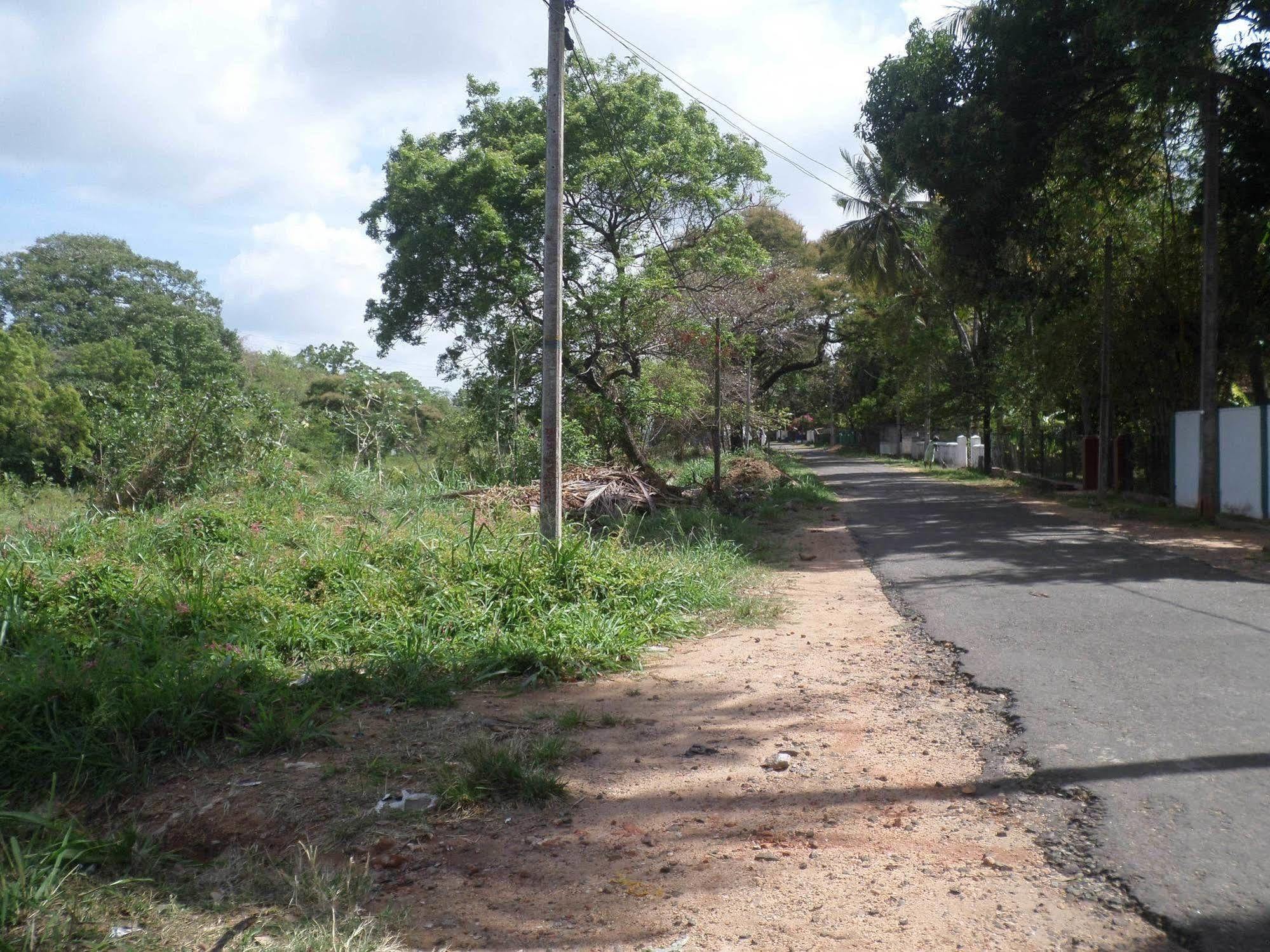 Thilaka City Hotel Anuradhapura Zewnętrze zdjęcie
