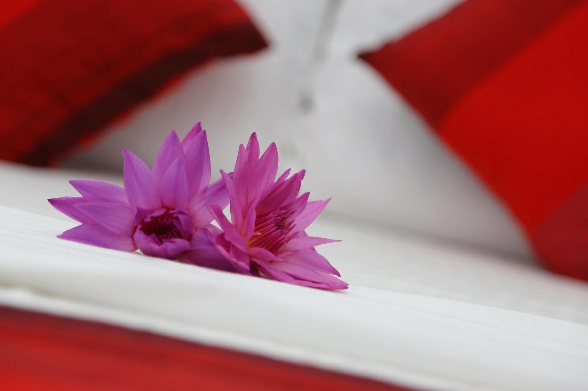 Thilaka City Hotel Anuradhapura Zewnętrze zdjęcie